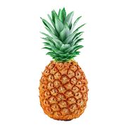 Ananas, Tropical Gold